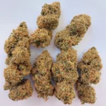 Clearance Bundle Deal 1 - Image 4